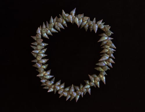 kanalaritja tunapri : the new generation