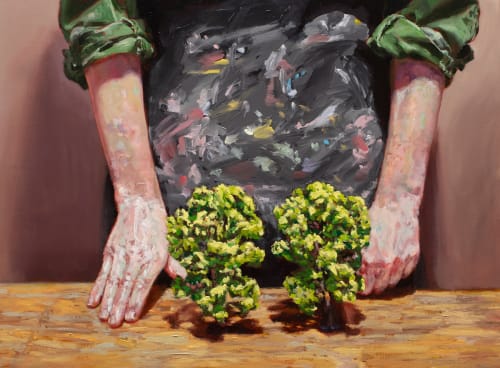 Amanda Davies, Premaydena Studio