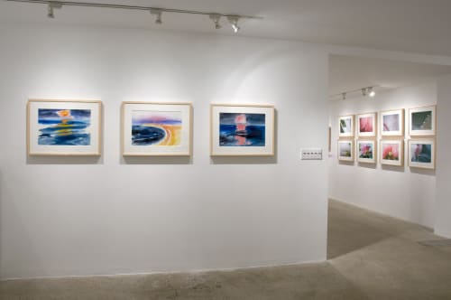 Elements of Nature Installation View, Cade Tompkins Projects