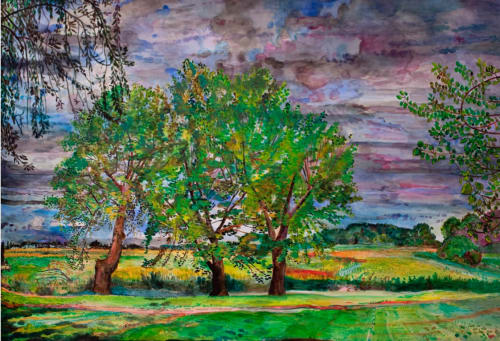 Cottonwood, Box Elder and Poplar,