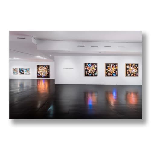 Process Ritual Future Eternal, solo exhibit, Primary Projects, Miami Florida