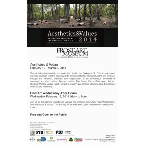 Aesthetics and Value