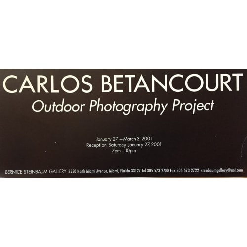 Bernice Stainbaum gallery group exhbiit