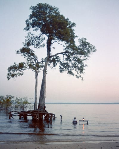 Detail from: Esperando Papai [Waiting for daddy], 2004, Colour digital print on canson paper, x2, 28 x 88 cms