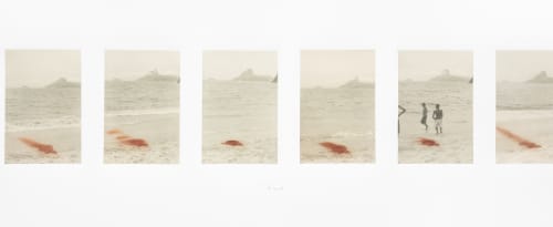 Detail of: Furo, 2004, Chine collé a la poupee polymer gravure on rives BFK 280 grams paper, 55 x 226 cms, Edition of 10. 1/10