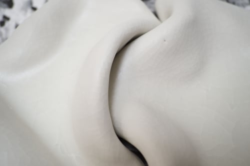 Lucía Pizzani, A Garden for Beatrix