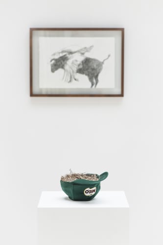 Cristián Silva, Ornithology