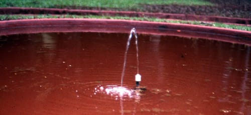 Katie van Scherpenberg, Jardim Vermelho [Red Garden], 1986