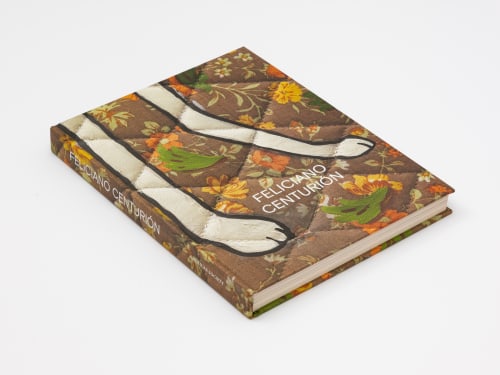 Feliciano Centurión, Artist Monograph