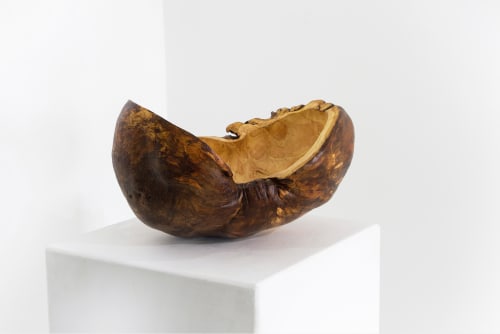 Maxim Hastings, Oak Bur Bowl , 2021