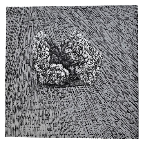 The Tree Circle | Online, a celebration of spring and the life cycle of trees
