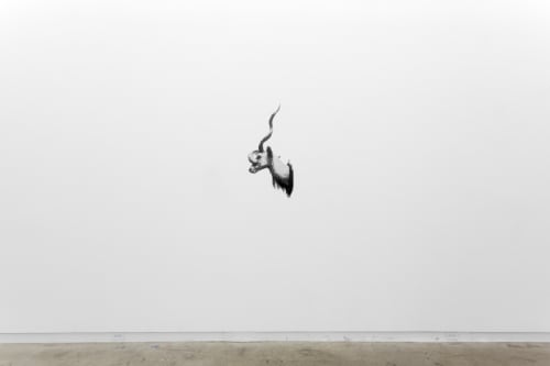 WELTVERBESSERUNGSSYNDROM, Dorian Fitzgerald