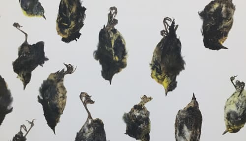 Thaddeus Holownia in Canadian Art