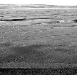 Thaddeus Holownia featured in CBC podcast