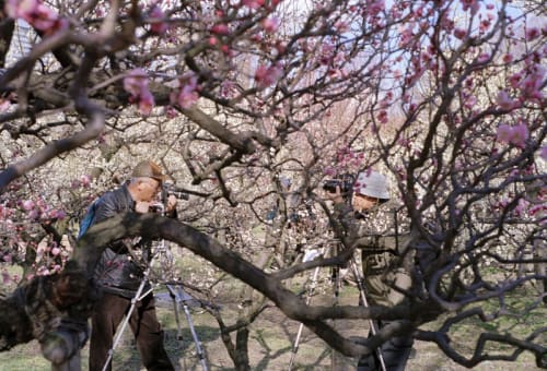 Chad Gerth No.21, (The Duel), 2001/2005