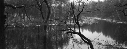 Thaddeus Holownia, Pond Through Trees, 2001