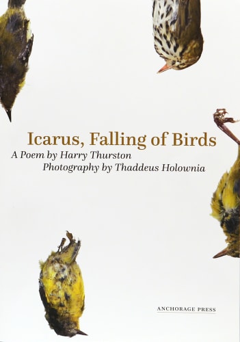 Thaddeus Holownia, Icarus, Falling of Birds