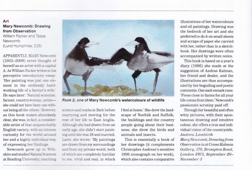 Mary Newcomb, Drawing from Observation