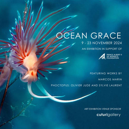 Cuturi Gallery hosts an exhibition in support of the Prince Albert II of Monaco Foundation