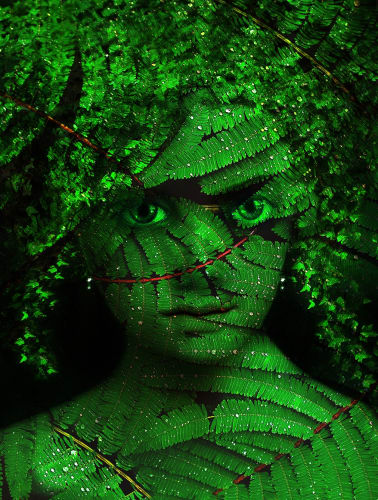 Collectors Making A Difference | Fern Girl by Cristina Schek