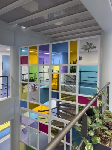 Tree Reflections (Public Commission)