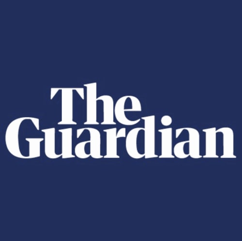 Exhibition Review: The Guardian, Laura McLean-Ferris