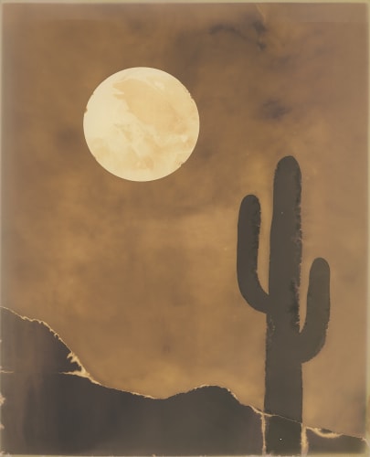 Claire A. Warden, 99 Moons, No. 243, 2023