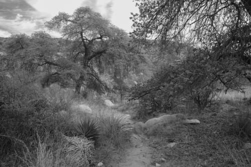 Wayne Gudmonson’s “What Place Is This” - On Display at the Louis Carlos Bernal Gallery, at Pima Community College