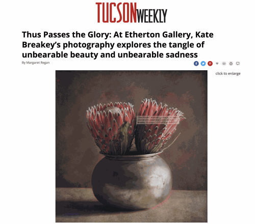 Thus Passes the Glory: At Etherton Gallery, Kate Breakey’s photography explores the tangle of unbearable beauty and unbe