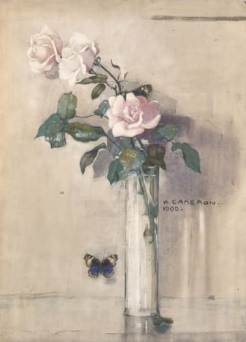 Roses of May, 1909