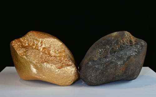 The Extinction Collection, with Explorers Against Extinction