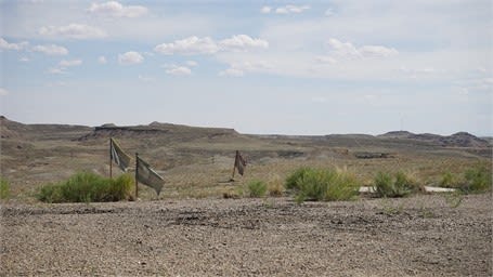 Erika Lynne Hanson | Movement Choir: Landscape Scores