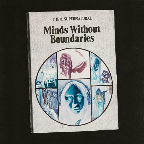 Todd Ryan White, Minds Without Boundaries, 2019
