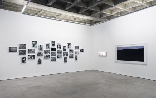 Gold in the Morning, Galeria Luisa Strina