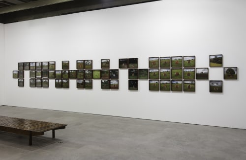 Campo fértil, Galeria Luisa Strina