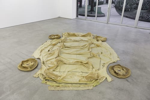 Transplanted (VW Brasilia), Galeria Luisa Strina