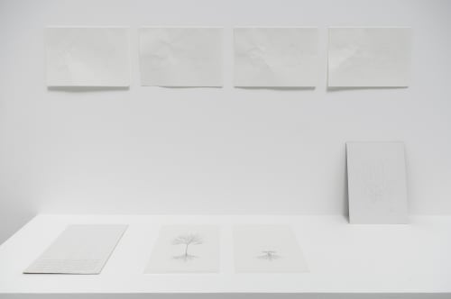 Desaprender, Galeria Luisa Strina