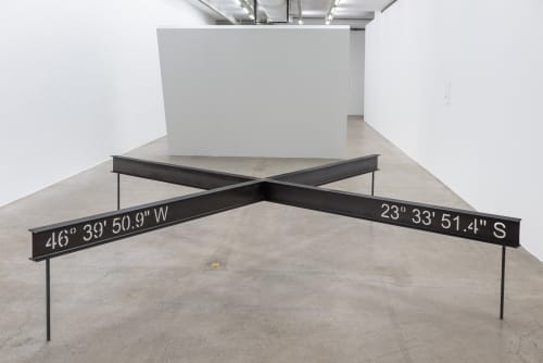 História Natural, Galeria Luisa Strina