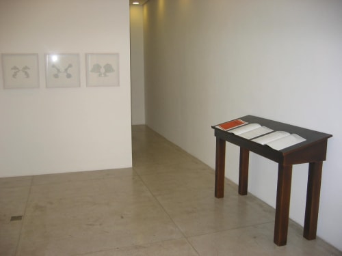 La Ascención, Galeria Luisa Strina