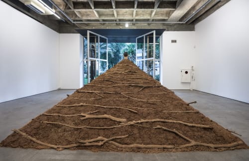 Solo, Galeria Luisa Strina