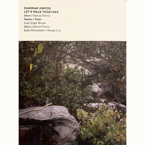 Caminar Juntos / Let's Walk Together, Mario Garcia Torres