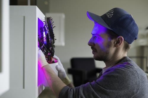 ©Anthony Lanneretonne