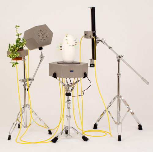 Songs without words, Courtesy de l'artiste et de la galerie Catherine Issert