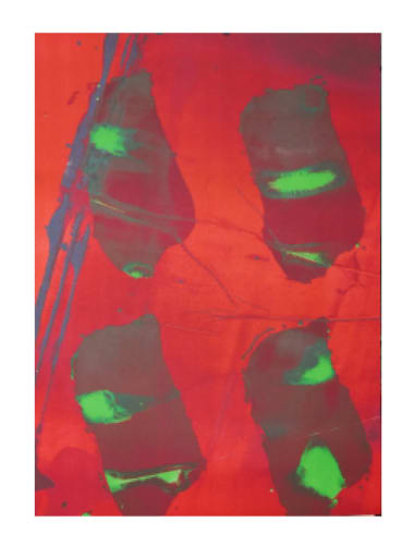 Claude Viallat - Édition 2013