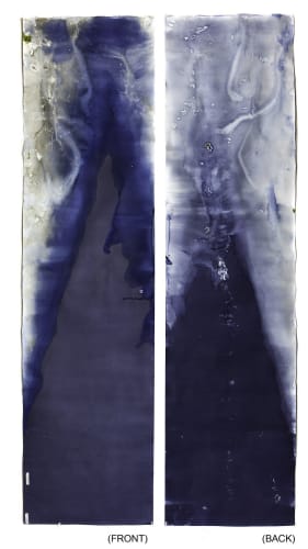 梅根·瑞普霍夫