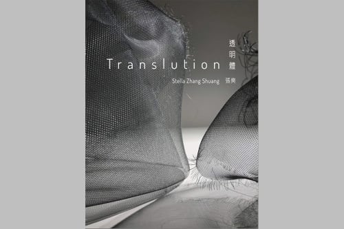 Stella Zhang - Translution