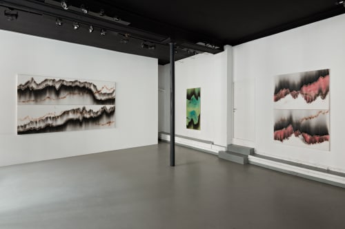 CHRISTIAN JACCARD, Pics de combustion