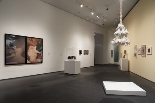 Petah Coyne, Carolee Schneemann