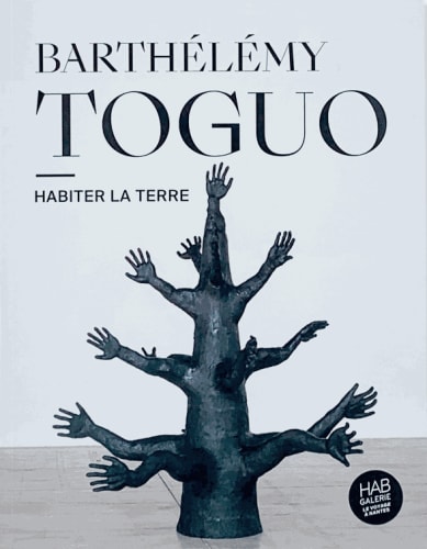 Barthélémy Toguo, Habiter la Terre
