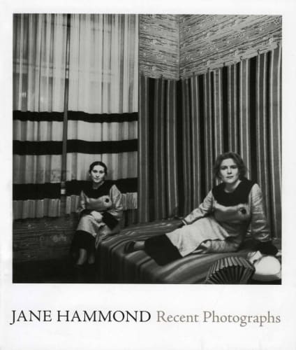 Jane Hammond: Recent Photographs, David Levi Strauss